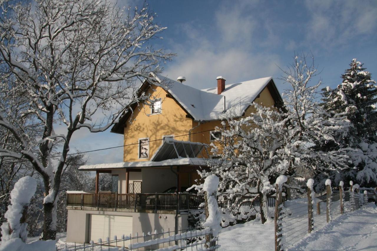 Alte Volksschule - Schual In Gradne Apartment Liebenfels Exterior foto